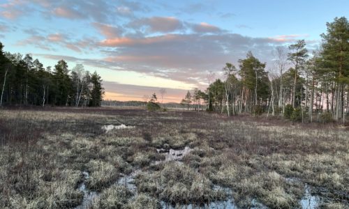 Store Mosse Nationalpark in Schweden