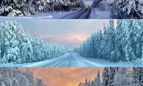 Roadtrip Landland: Straßen in Finnland im Winter während der Polarnacht